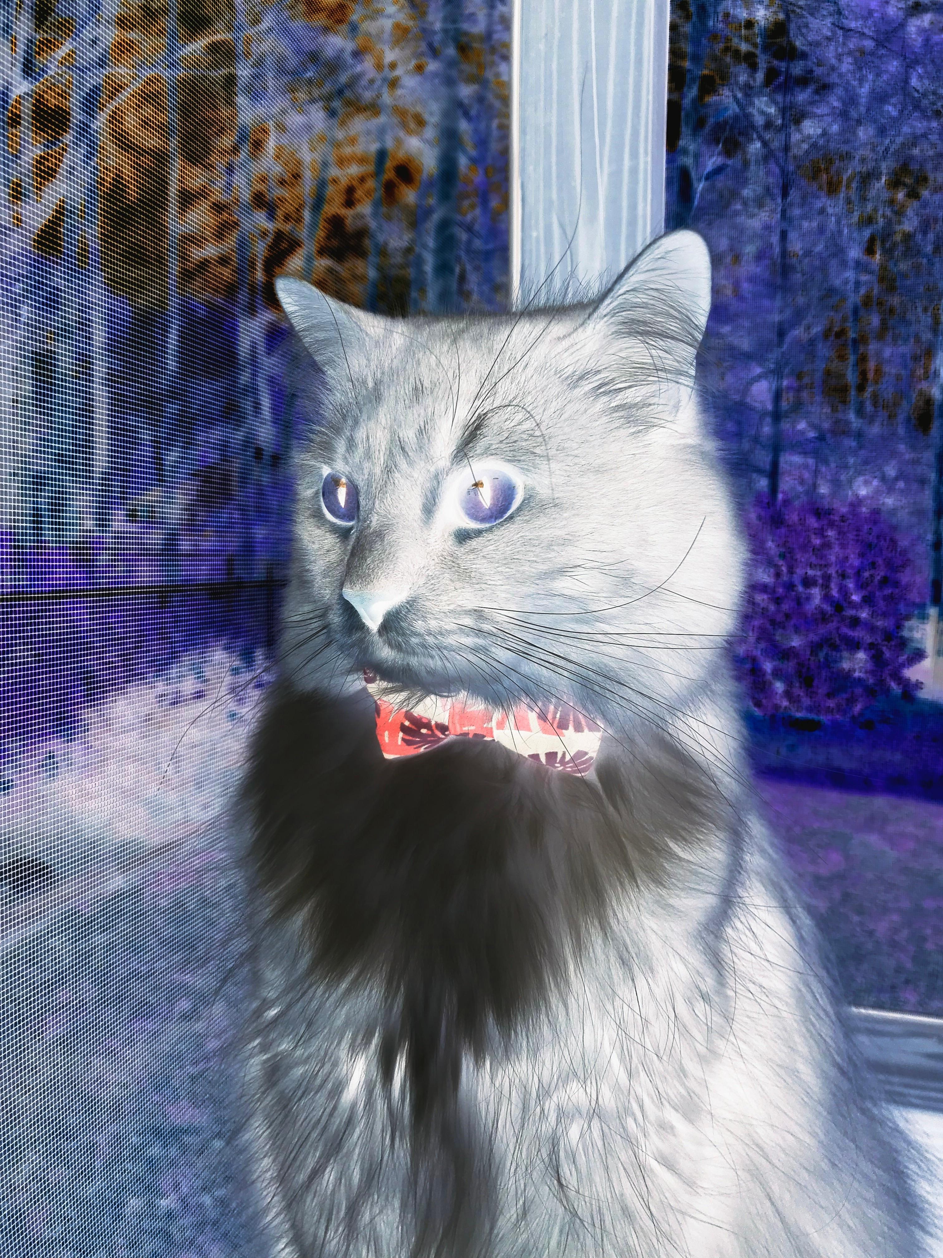 爱游戏官方-《《守望先锋》新地图“未来城市”盛大上线》，守望先锋全新地图