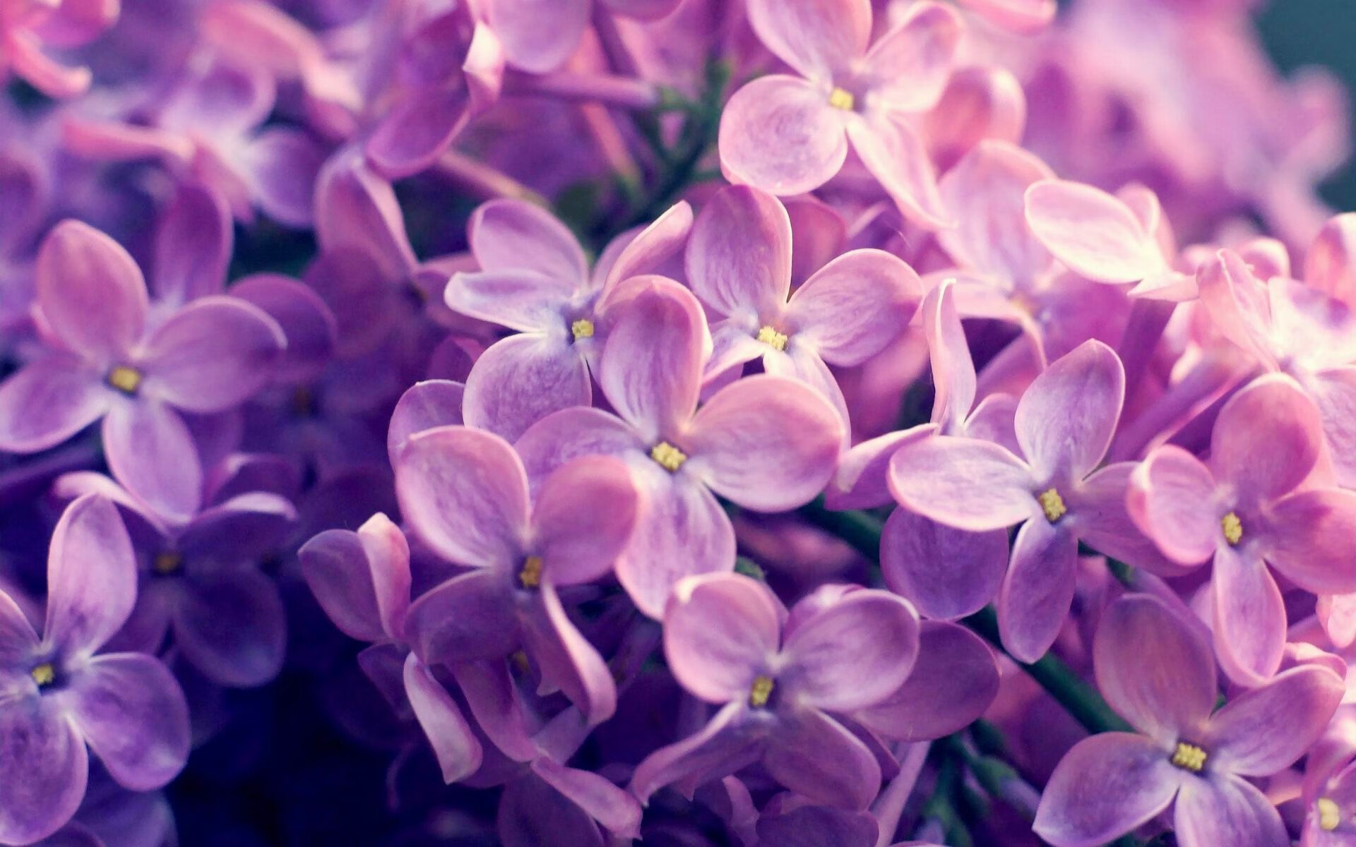 AYX官网-《跨界合作：电竞综艺携手娱乐界多方共赢》，跨界节目有哪些