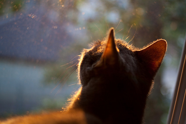 爱游戏官方-中国足球产业界开启创新创业大赛，足球创新创业计划书